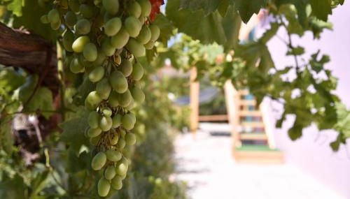 Holiday Oasis with Private Hammam-style Bath, Mini Golf - Foto 5