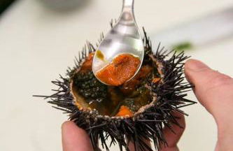 Ericeira Vibes - Foto 55