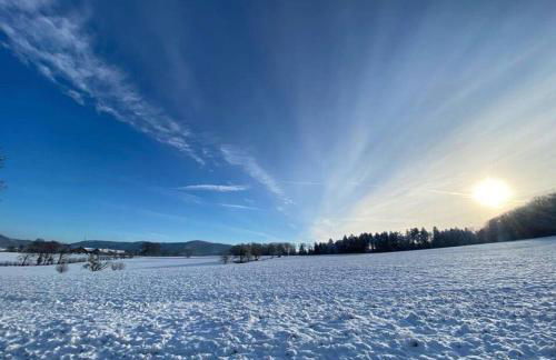 Schwarzwaldliebe Ferienwohnung mit eigenem Garten - Foto 45
