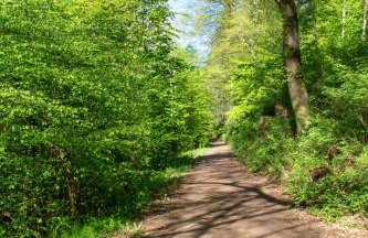 Wonderful Renovated Apartment With Great Location - Foto 34