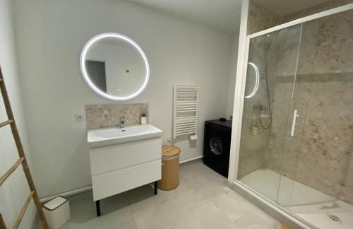 Les Gites de Saint Thierry - Foto 4