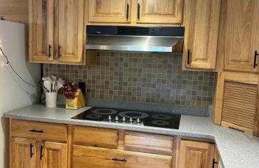 Amphitheater Mountain Cabin - Foto 13