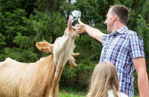 Tischneck Chalets - TraumFerienhäuser im Schwarzwald - Chalets Riva & Limone - Foto 35