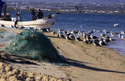 Dans les nuages - Photo 19