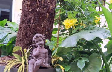 Terra-Crystal - Foto 47