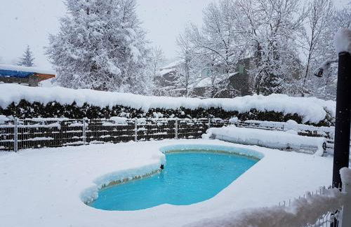 Les FEICHES et MARGUERITES - Foto 35
