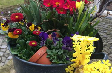 Ferienwohnung Gürth - Foto 45