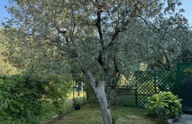 La Rovettina Pet friendly house - Foto 24