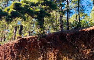 Apartamento Atlantico - Foto 73