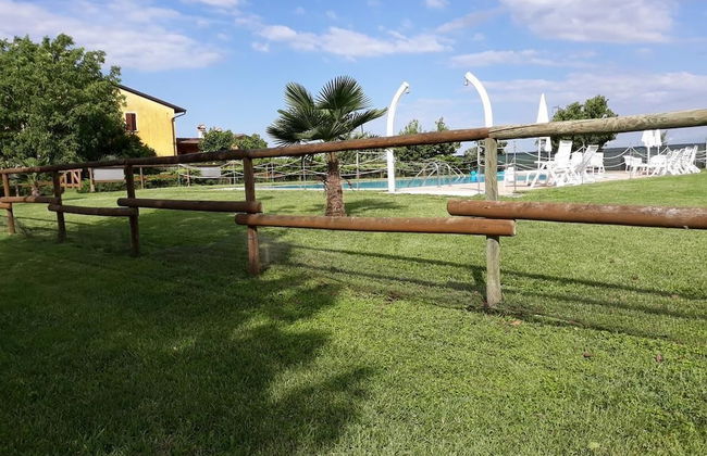 Agriturismo Trebis - Photo 34