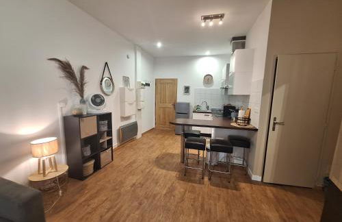 Studio élégant rénové, cœur piéton Evian - Foto 5