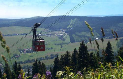 Ferienwohnung-Panoramablick - Foto 17