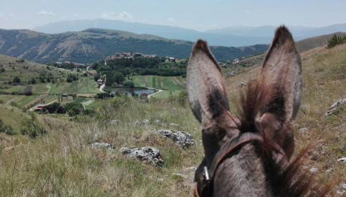 Casa Ladyhawke - Foto 3