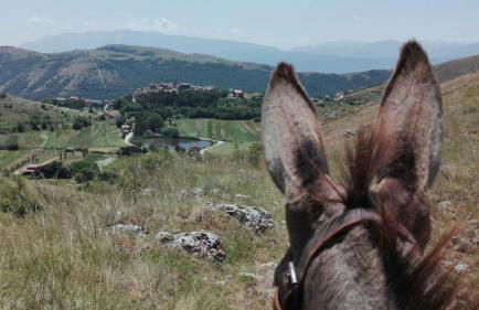 Casa Ladyhawke - Foto 3