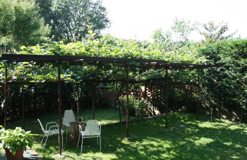 Ika Blue Studio - Photo 41