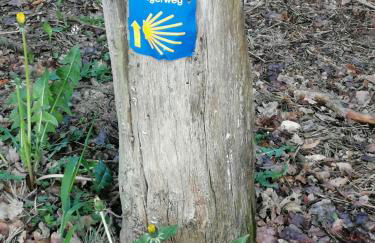 Ferienhaus am See mit Ruderboot - Photo 47