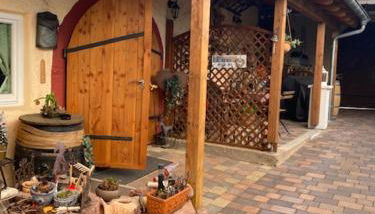 Phönix aus der Asche - Foto 3