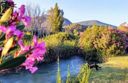 MAIN SQUARE Apartments - Photo 43