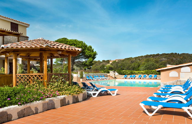 Bougainvillae Trilo Plus - Foto 20