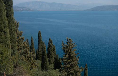 Villa Agni - Photo 80