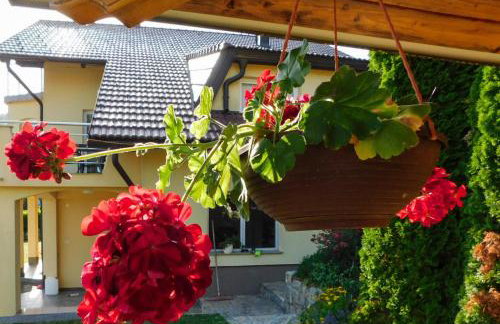 Apartman Lara - Photo 42