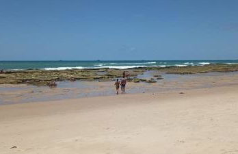 Casa inteira, com sauna, piscina ozonizada, praia Enseada dos Corais, Cabo de Santo Agostinho, Pernambuco, Brasil - Foto 18