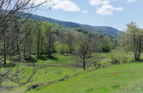 Ferme de ma Grand-Mère - Foto 12