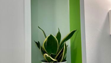 Casa Semplice - Foto 5