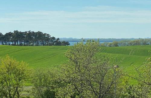 Fuchs und Elster - Foto 15