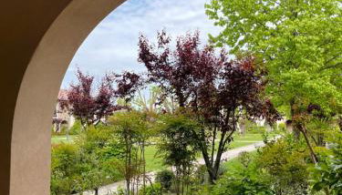 Green and Relax - Foto 4