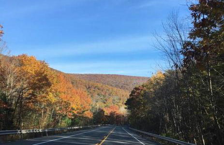 Catskill Cabin, Cool Apartment, 2nd Floor - Photo 17