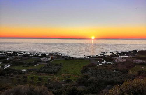 Tranquility House - Foto 40