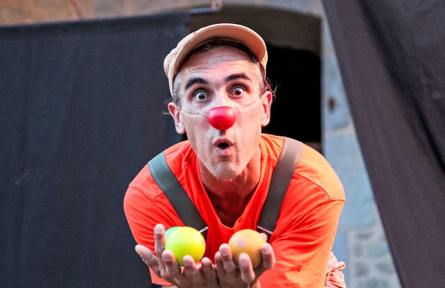 Domaine de Sévenier Micocoulier - Foto 25