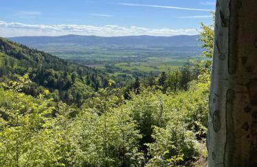 Świerkowy Zakatek - Foto 35