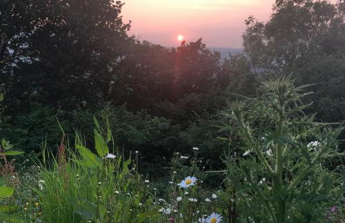 Rabbits ,1 bedroom, Dartmoor Hillside, Eco Hobbit style, Home - Foto 23