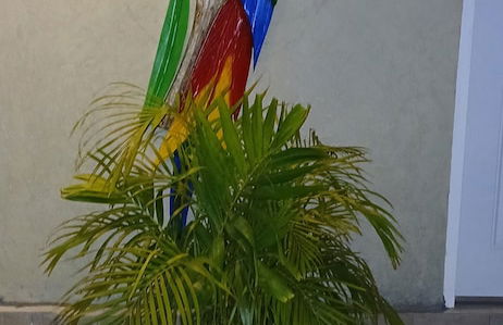 Love and Peace Vacation Rental Aruba - Foto 25