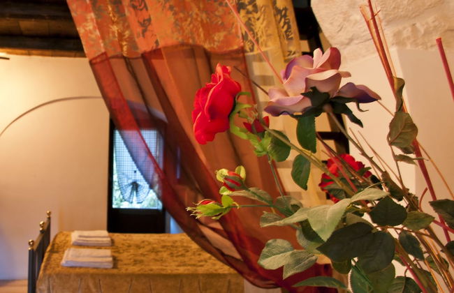 Giardino dei Trulli - Foto 11