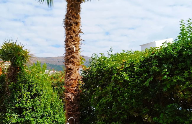 Villa Pinocchio - Foto 74