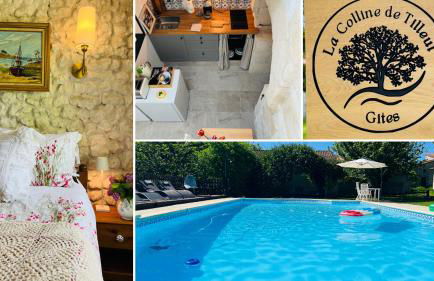 Entire apartment with swimming pool near Aubeterre - Foto 64