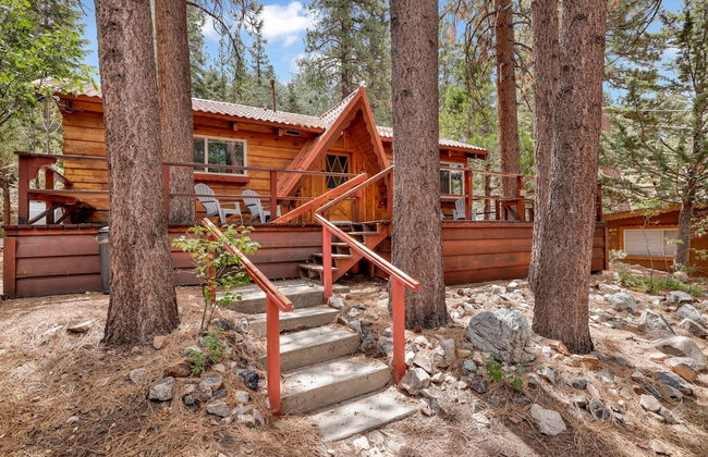 Cabin Idle Ours #933 - Foto 15