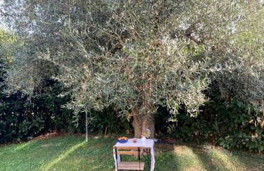 La Locanda Del Tevere - Foto 39