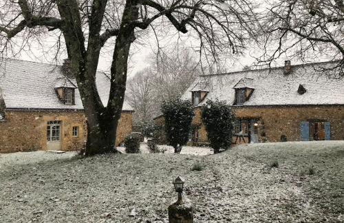 Les Perroutis - Foto 12