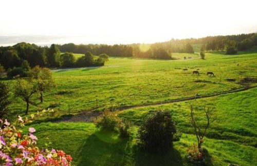 Hof Rossruck - Foto 13