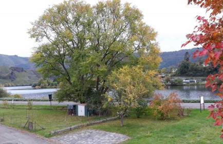 Ferienhaus in Mehring - Foto 1