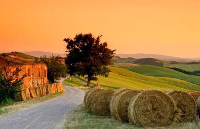 Welcome at Poggio Cantarello Country Home Tuscany - Foto 84