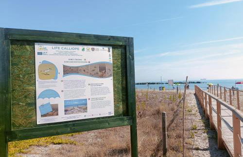 domus rosada - Foto 34