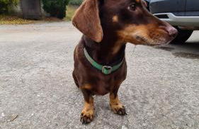 Ferienwohnung Scherr - Foto 22