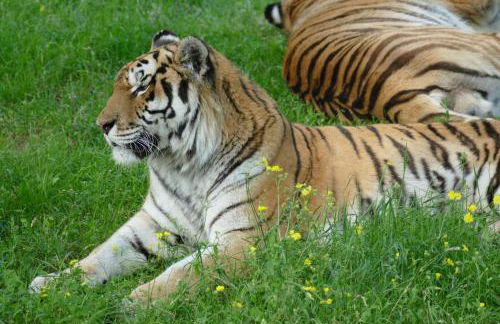 GITES DES ECOLES - Foto 9