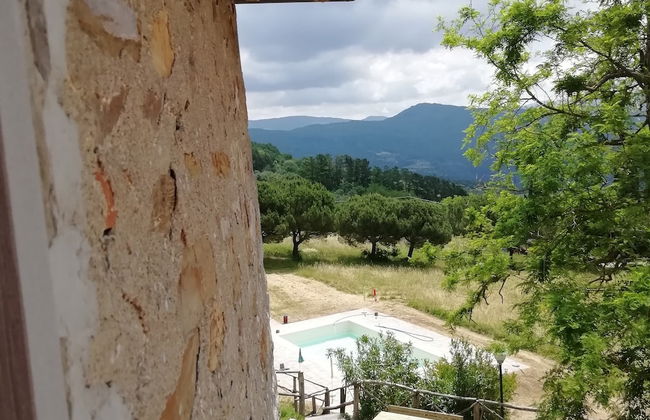 Fattoria di Cintoia - Photo 69