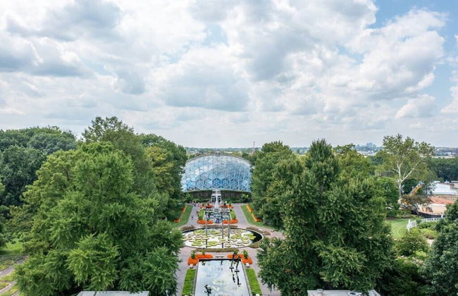 Cozy Family Home - Walk to MO Botanical Gardens - Photo 61